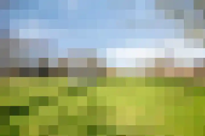 Speenkruid 7 Purmerend thumbnail 38