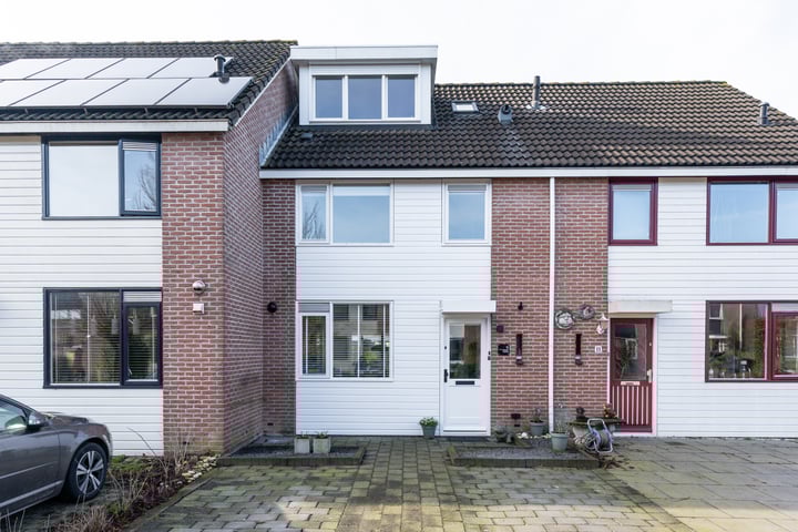 Speenkruid 9 in Odijk foto