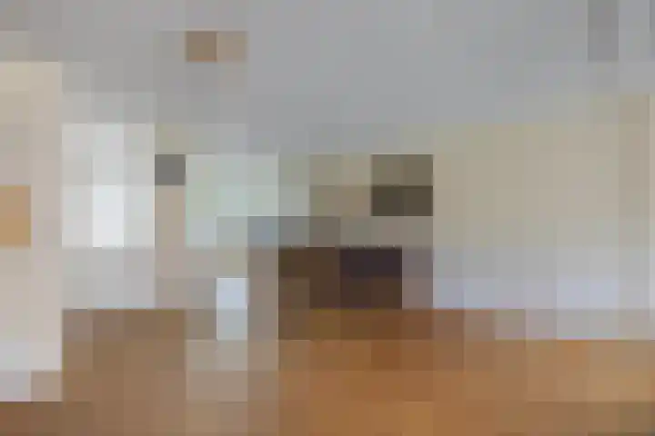 Speerdistel 12 Oudkarspel thumbnail 10