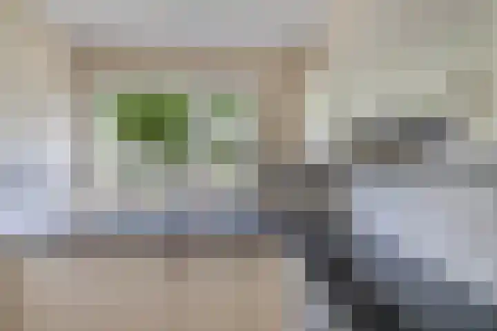 Speerdistel 12 Oudkarspel thumbnail 18