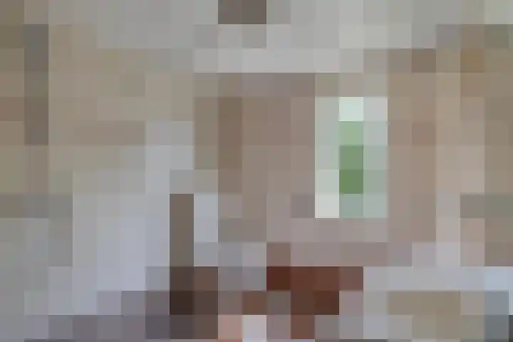 Speerdistel 12 Oudkarspel thumbnail 28