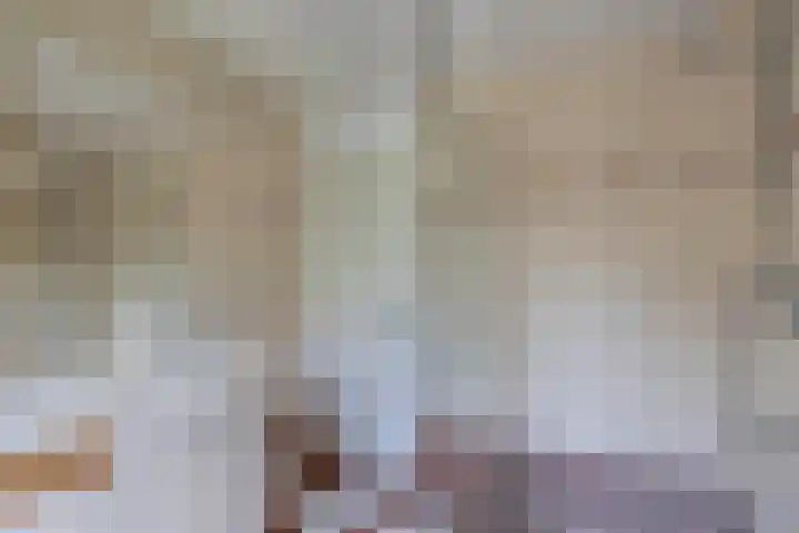 Speerdistel 12 Oudkarspel thumbnail 30