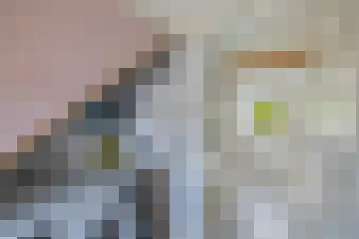 Speerdistel 12 Oudkarspel thumbnail 32