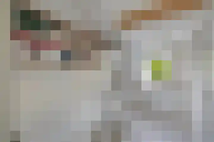 Speerdistel 12 Oudkarspel thumbnail 33