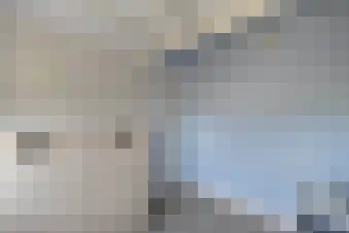Speerdistel 12 Oudkarspel thumbnail 37