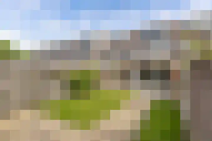 Speerdistel 12 Oudkarspel thumbnail 38