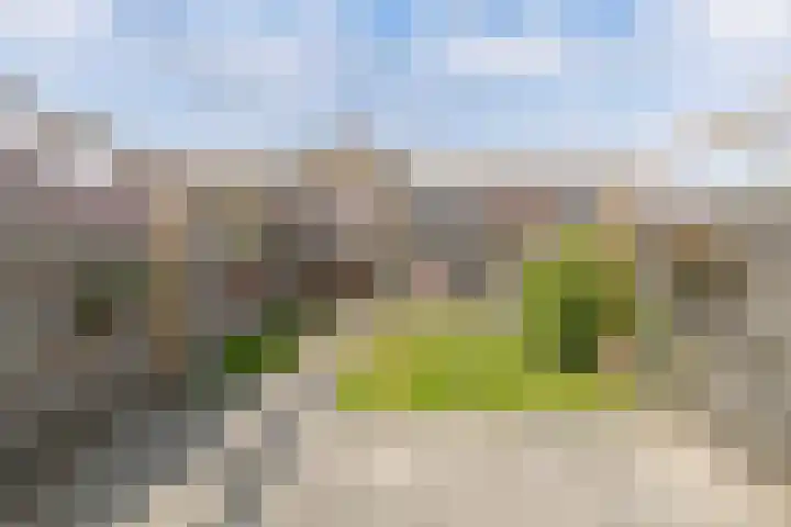 Speerdistel 12 Oudkarspel thumbnail 41