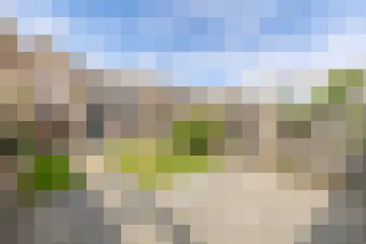 Speerdistel 12 Oudkarspel thumbnail 43