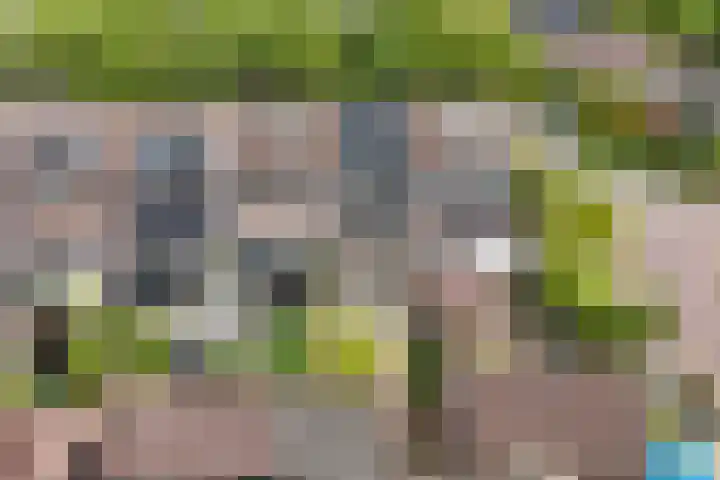 Speerdistel 12 Oudkarspel thumbnail 47