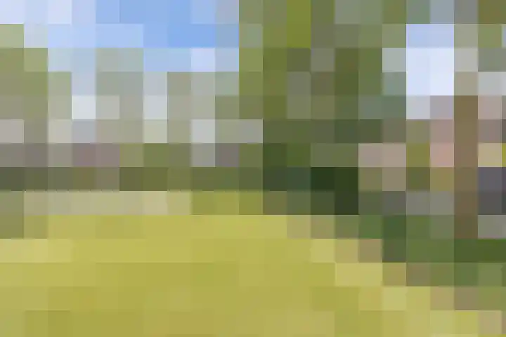 Speerdistel 12 Oudkarspel thumbnail 5