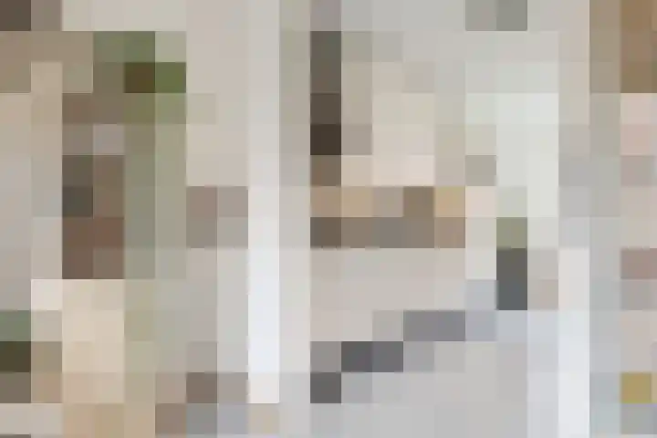 Speerdistel 4 De Meern thumbnail 11