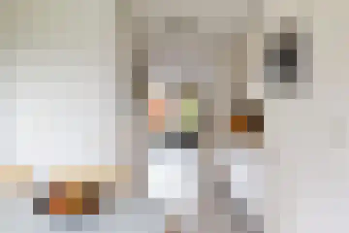 Speerdistel 4 De Meern thumbnail 13