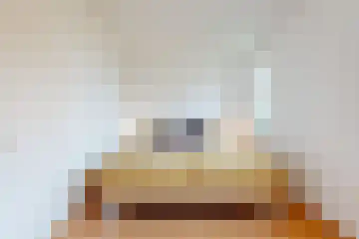 Speerdistel 4 De Meern thumbnail 17