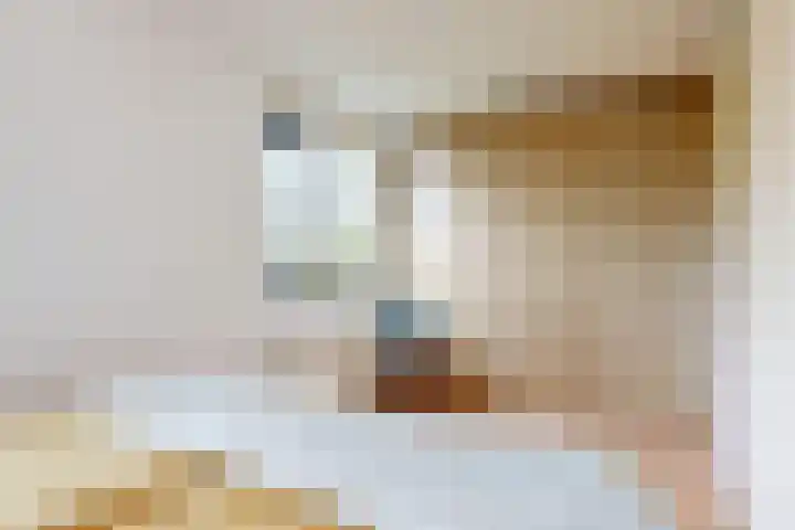 Speerdistel 4 De Meern thumbnail 18