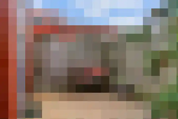 Speerdistel 4 De Meern thumbnail 27