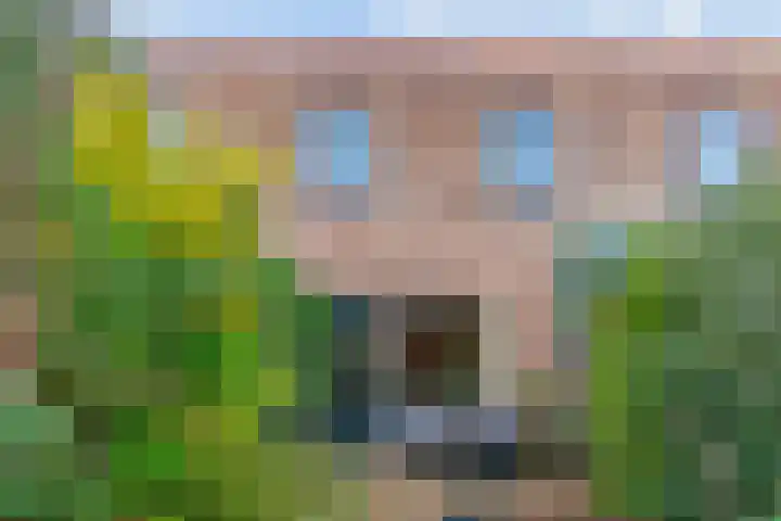 Speerdistel 4 De Meern thumbnail 29