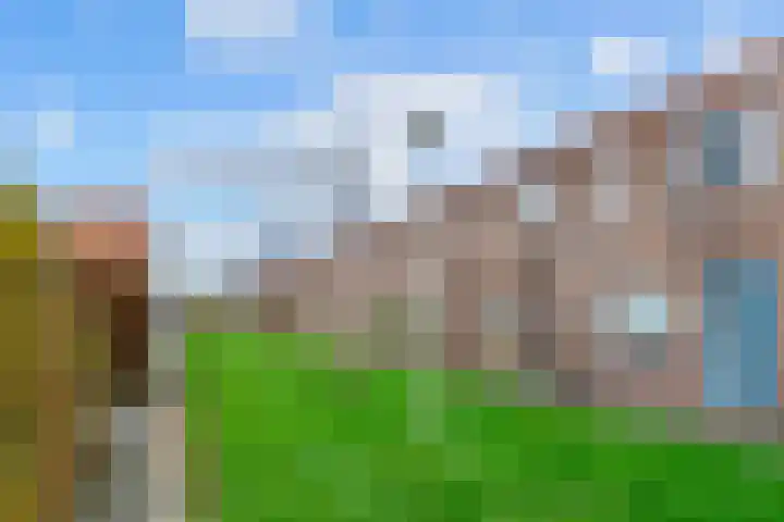 Speerdistel 4 De Meern thumbnail 30