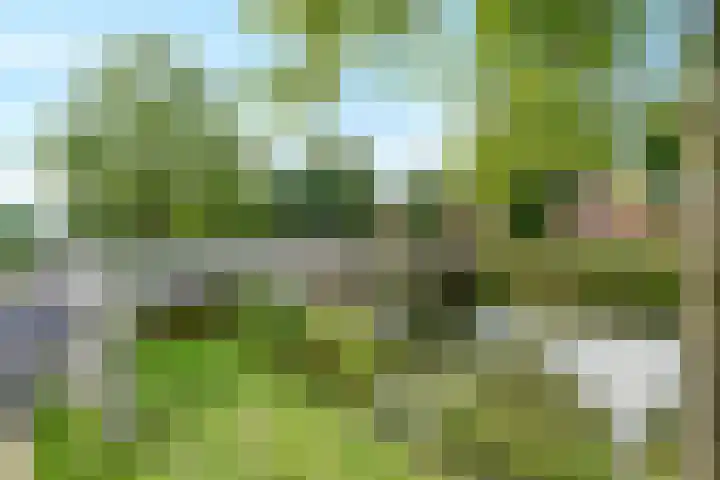 Speerdistel 4 De Meern thumbnail 35