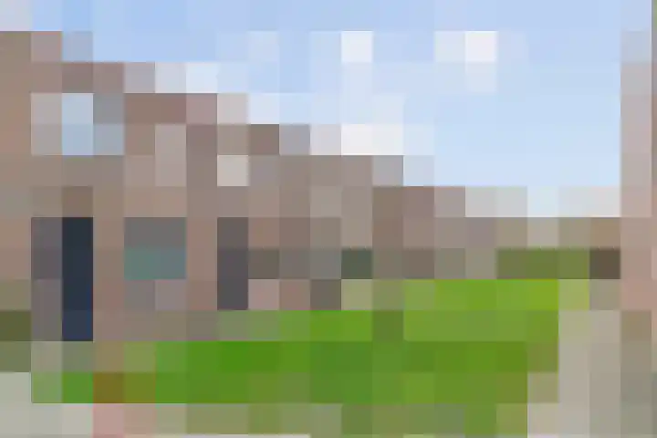 Speerdistel 4 De Meern thumbnail 4