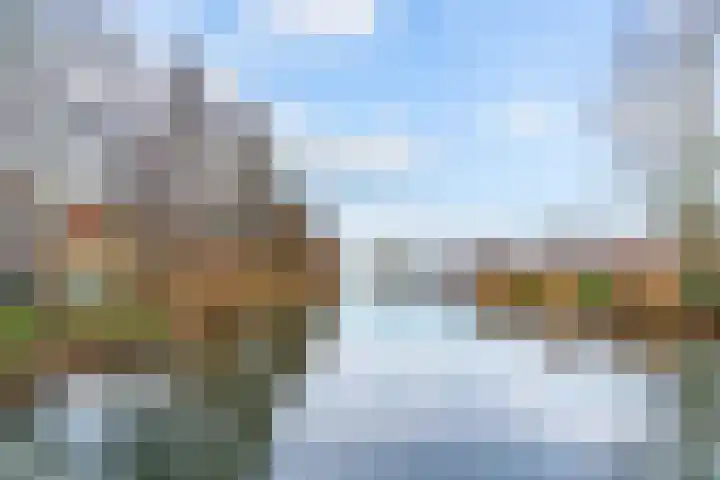Speerdistel 4 De Meern thumbnail 5