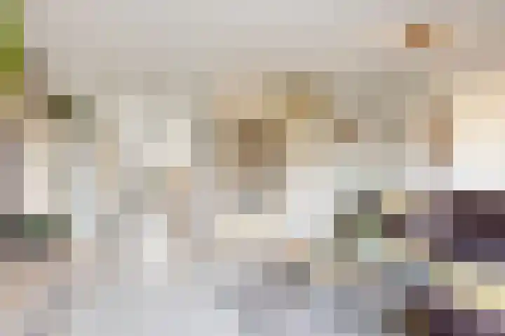 Speerdistel 4 De Meern thumbnail 9