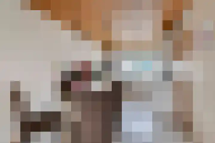 Speet 10 Monnickendam thumbnail 11