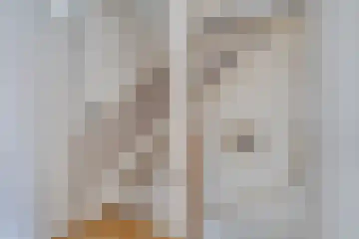 Speet 10 Monnickendam thumbnail 17