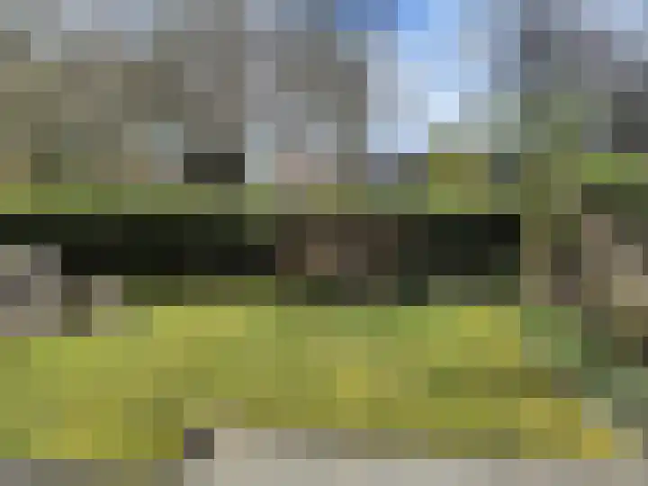 Speet 10 Monnickendam foto 2