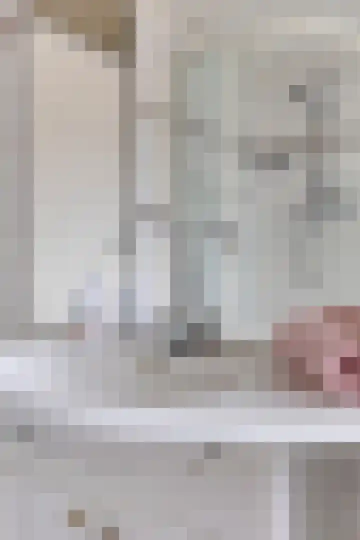 Speet 10 Monnickendam thumbnail 22