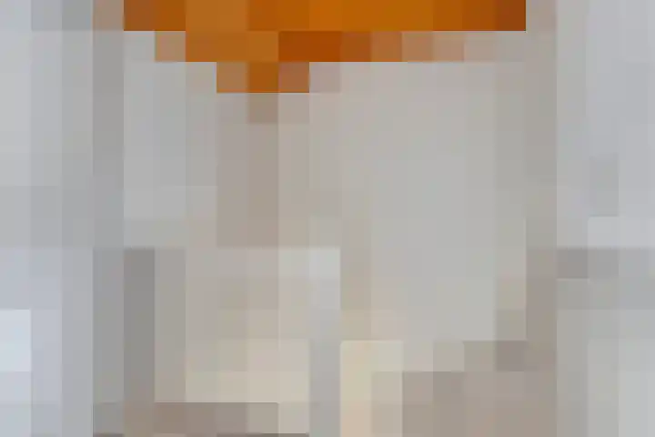 Speet 10 Monnickendam thumbnail 25