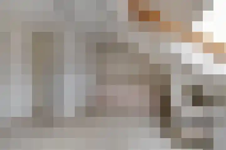Speet 10 Monnickendam thumbnail 26