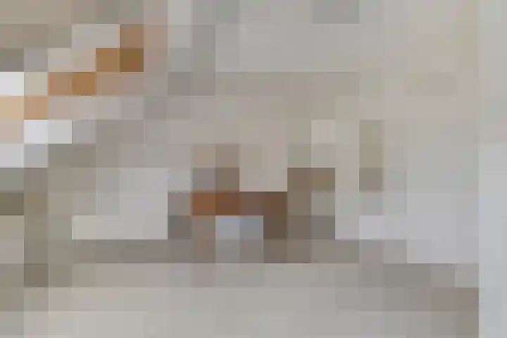 Speet 10 Monnickendam thumbnail 27