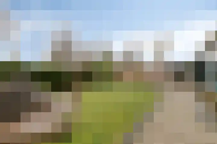 Speet 10 Monnickendam thumbnail 31