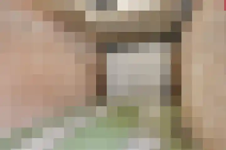 Speet 10 Monnickendam thumbnail 32