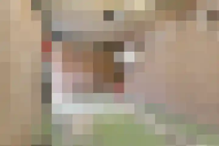 Speet 10 Monnickendam thumbnail 33