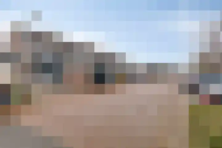 Speet 10 Monnickendam thumbnail 36