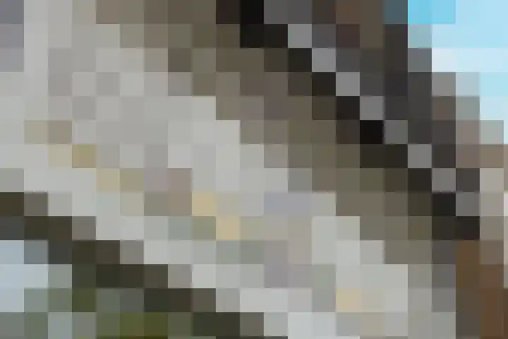 Speet 10 Monnickendam thumbnail 38