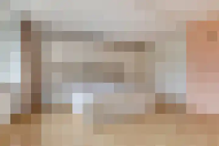Speet 10 Monnickendam thumbnail 4