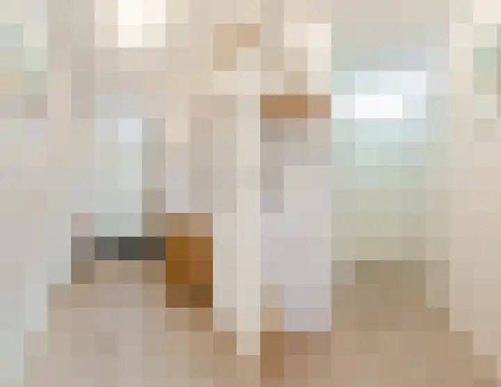 Speet 10 Monnickendam thumbnail 42