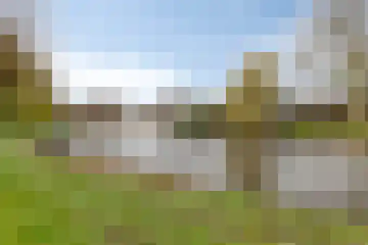 Speet 10 Monnickendam thumbnail 44