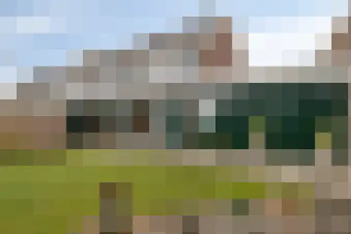 Speet 10 Monnickendam thumbnail 5