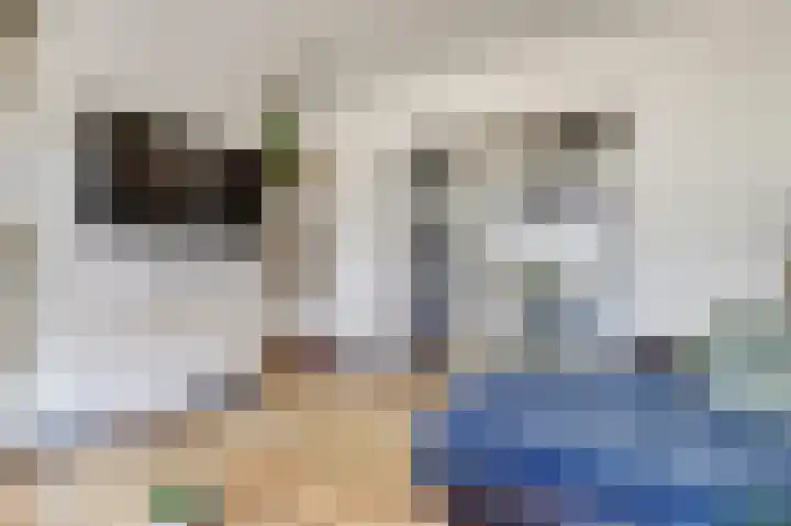 Speet 10 Monnickendam thumbnail 7