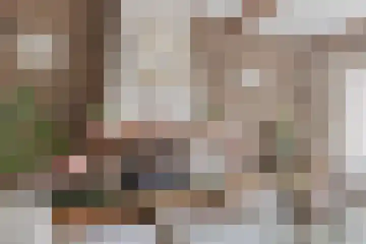 Speet 10 Monnickendam thumbnail 8