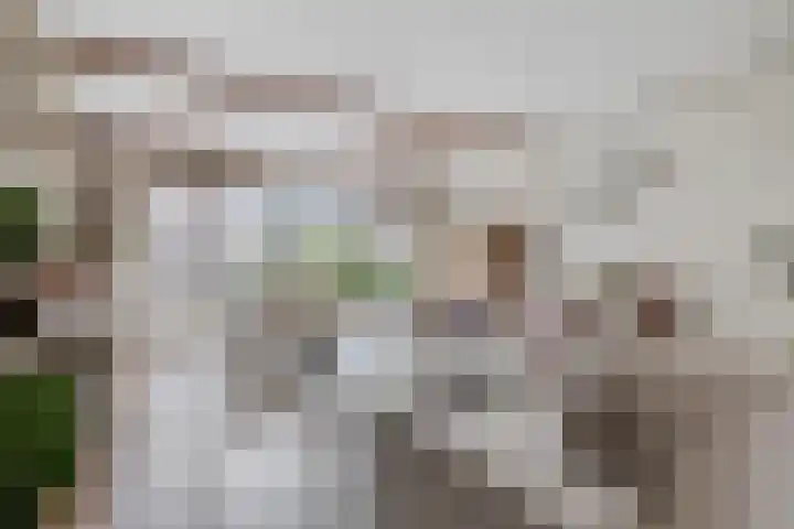 Speet 10 Monnickendam thumbnail 9