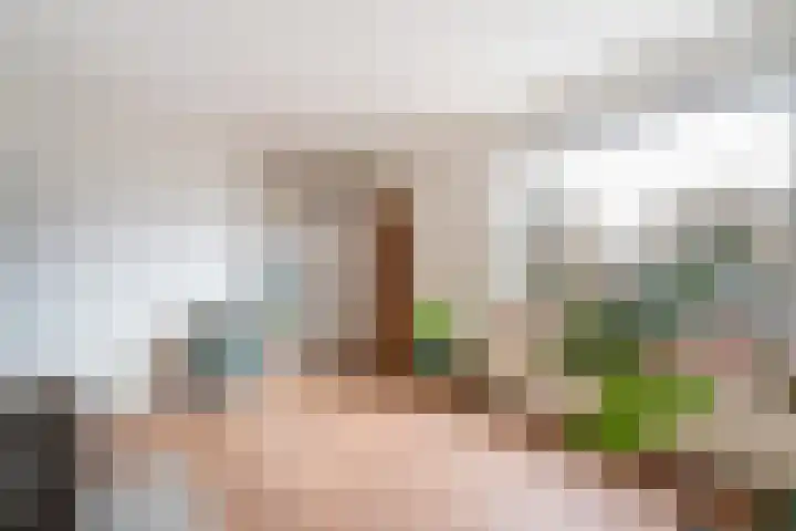 Speltstraat 6 Haler thumbnail 10