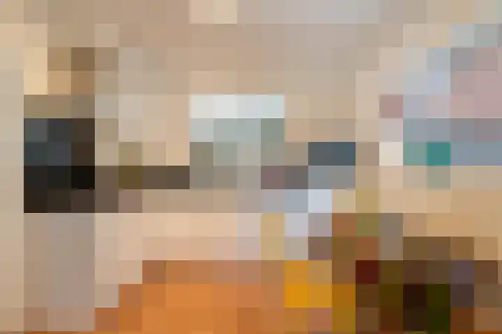 Speltstraat 6 Haler thumbnail 11