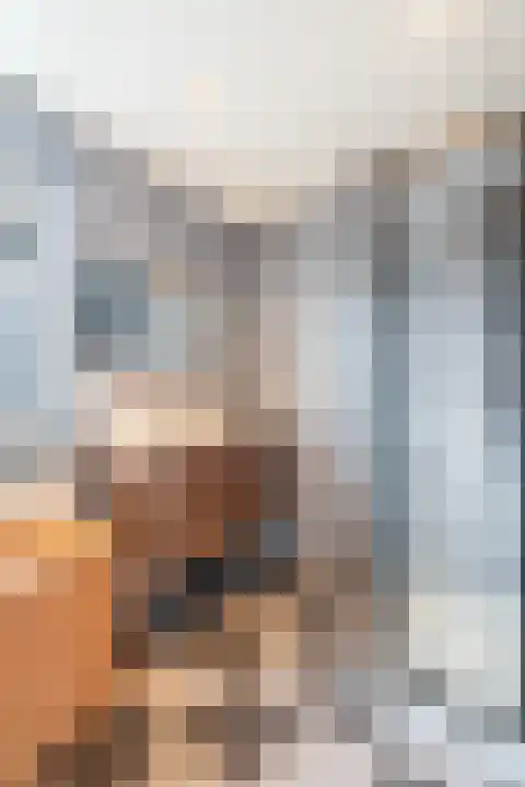 Speltstraat 6 Haler thumbnail 17