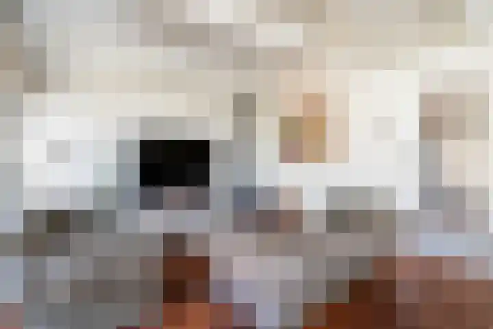Speltstraat 6 Haler thumbnail 20