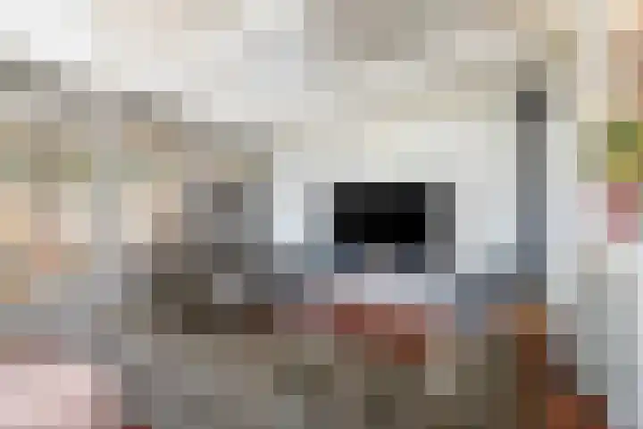 Speltstraat 6 Haler thumbnail 21