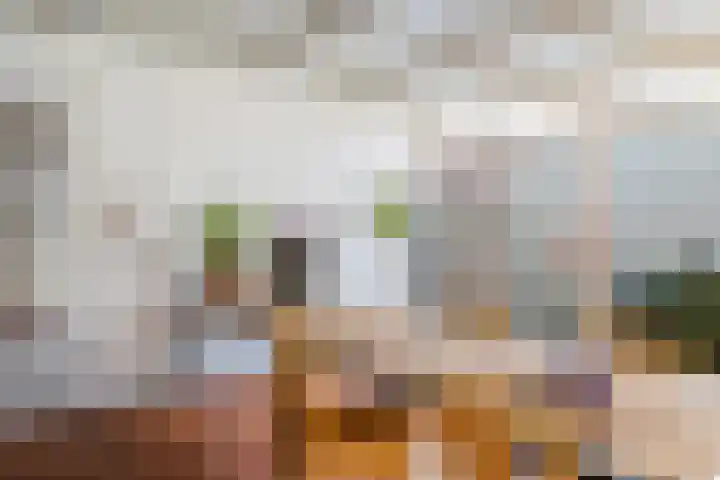 Speltstraat 6 Haler thumbnail 23